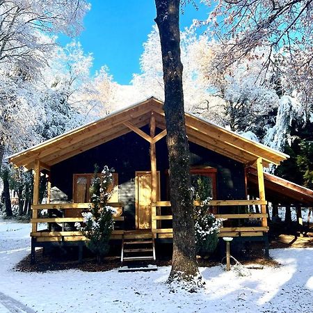 Cabanas Bosque Las Trancas Eksteriør bilde