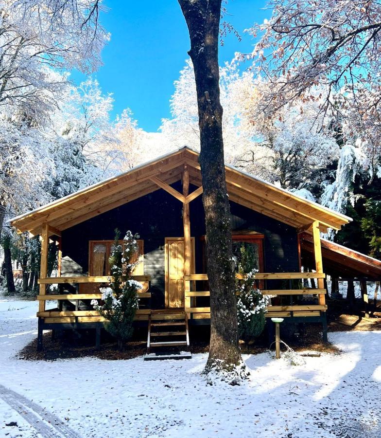 Cabanas Bosque Las Trancas Eksteriør bilde