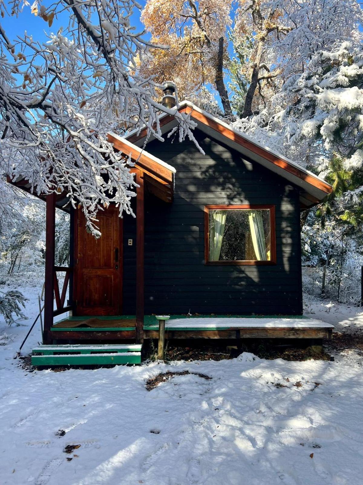Cabanas Bosque Las Trancas Eksteriør bilde