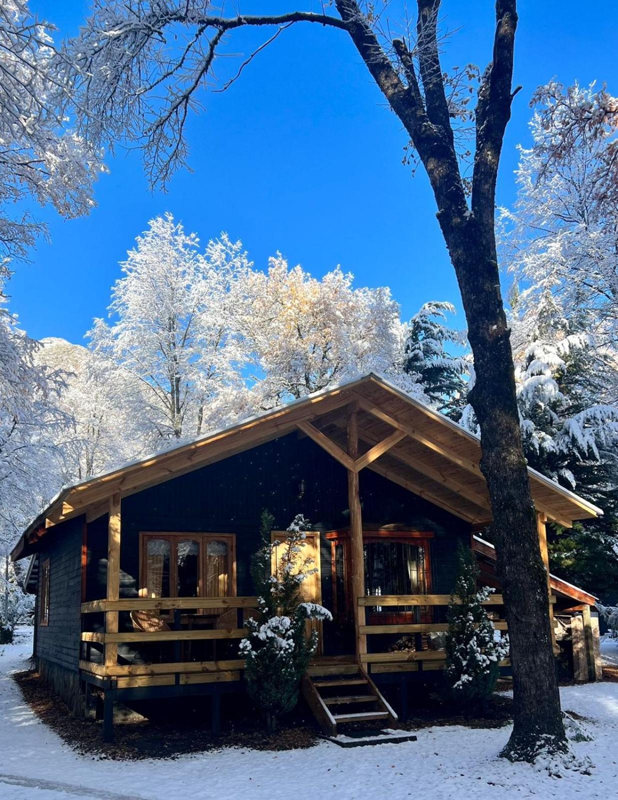 Cabanas Bosque Las Trancas Eksteriør bilde
